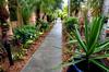 Hotel Best Western Central Plaza Apartments Cairns