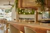 The Club Cala San Miguel Hotel Ibiza, Curio Collection By Hilton, Adults Only