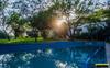 Apartamentos Los Algarrobos