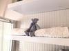 Apartamento Shg Cambrils Sue�os Del Mar