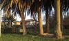 Apartamento Alcarav�n Playa
