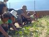 Camping Sunissim El Pla De Mar By Locatour