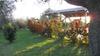 Hotel Maria Caderina Green Village