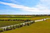 Myrtlewood Break 1457