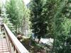 Cross Creek 207