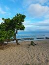 Apartamento Lahaina Luxury Condos