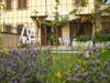 Apartamento La Loggina Maxi
