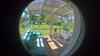 Hostal Hotel-pension Seeadler