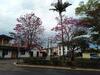 Hospedaria Pouso Da Anastacia