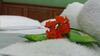 Hostal Pousada Nascer Do Sol