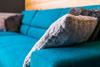 Apartamento Rent Like Home - Szymoszkowa