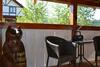 Hostal Aura Karpat