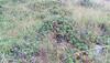 Hostal Aura Karpat