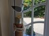Apartamento Giese Fewo K�stengl�ck