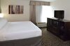 Hotel Holiday Inn Youngstown-south (boardman)