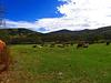 Bed & Breakfast El Capricho De Los Montes