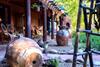 Adobe And Pines Inn Bed And Breakfast
