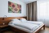 Hotel Ried