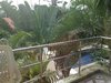 Hotel Aonang Lake Side Bungalow
