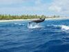 Hotel Tween Waters Island Resort & Spa