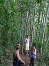 Albergue Monta�a Verde