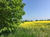 Bed & Breakfast Mein-ostseepl�tzchen