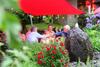 Hotel Restaurant Sonnenhof