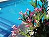 Hostal Cortijo Berruguilla Casa Rural