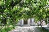 Hostal Olimpo Guest House