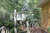 House On The Tree