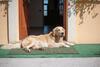 Agroturismo Farm Stay Kramer