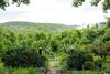 Bed & Breakfast Orchard Inn