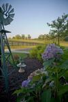 Pillow And Paddock B&B