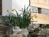 Bed & Breakfast Casale Villa Irina