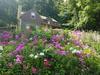 Contented Cottage Bed And Breakfast