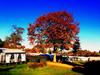 Hjarb�k Fjord Camping & Cottages
