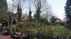 The Daresbury Apartment
