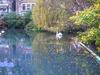 Weir Cottage On The Mill Pond