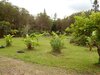 Bed & Breakfast Fern Forest Getaway