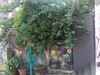 Girassol Hostel Vila Madalena