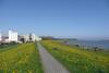 Seehotel Neue Liebe