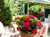 Apartamento Wei�t Du Noch - G�steh�user & Suiten