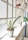 Apartamentos Two Bedroom Self Contained House