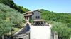 Agroturismo Tenuta Capitolini