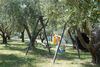 Agroturismo Il Giardino Degli Ulivi
