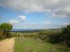 Agroturismo Country House Vignola Mare