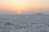 Hotel Hodka Rann Stay
