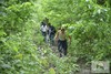 Hotel Bago Yoma Eco Resort
