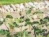 Bed & Breakfast Le Clos Du Presbyt�re