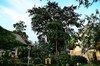 Hotel Moosi Yard Hometel Khaoyai